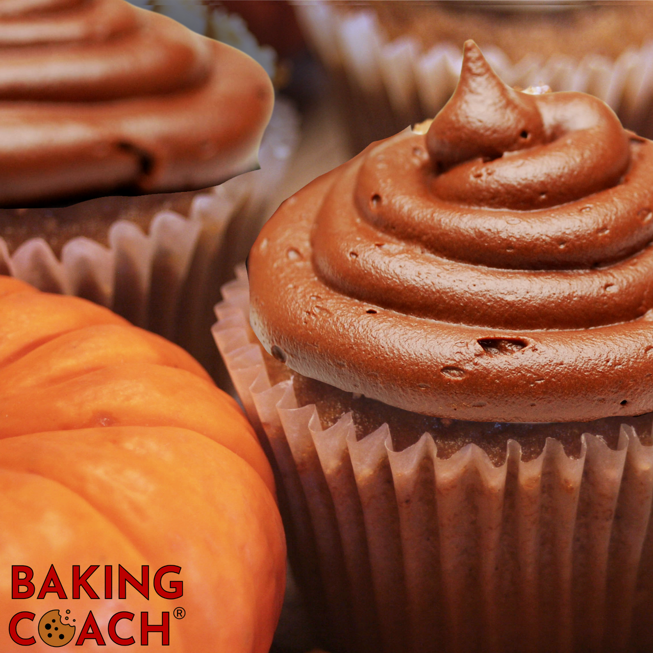 Pumpkin Cupcakes with Chocolate Fudge Frosting